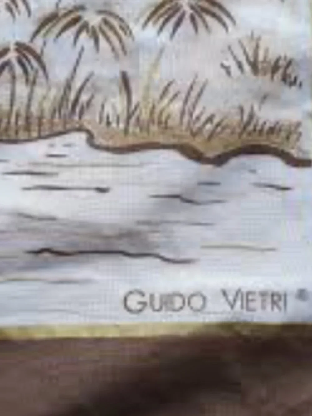 Guido Vietri Shawl/Wrap